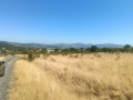Продава ПАРЦЕЛ, с. Енчец, област Кърджали, снимка 4