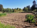 Продава КЪЩА, област Добрич, с. Соколово • 85000 € / 166245.55 лв. • 35998447 9