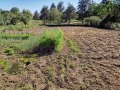 Продава КЪЩА, област Добрич, с. Соколово • 85000 € / 166245.55 лв. • 35998447 10