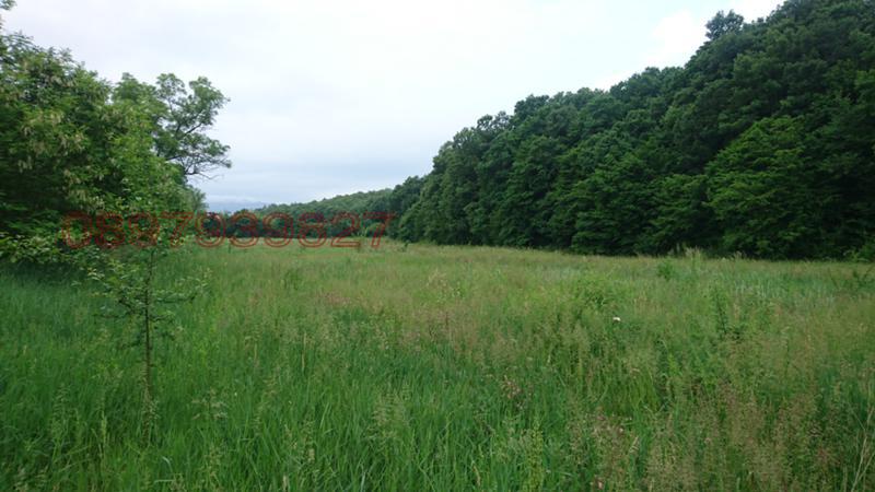 Продава ПАРЦЕЛ, гр. Белоградчик, област Видин, снимка 3 - Парцели - 52786041