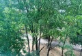Продава 3-СТАЕН, град София, Люлин 5 • 147000 € • 72655403 — Holmes.bg