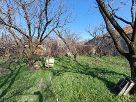 ������� ���� | Imot.bg � ����� ������ 16