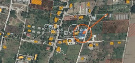 ������ ������� ������