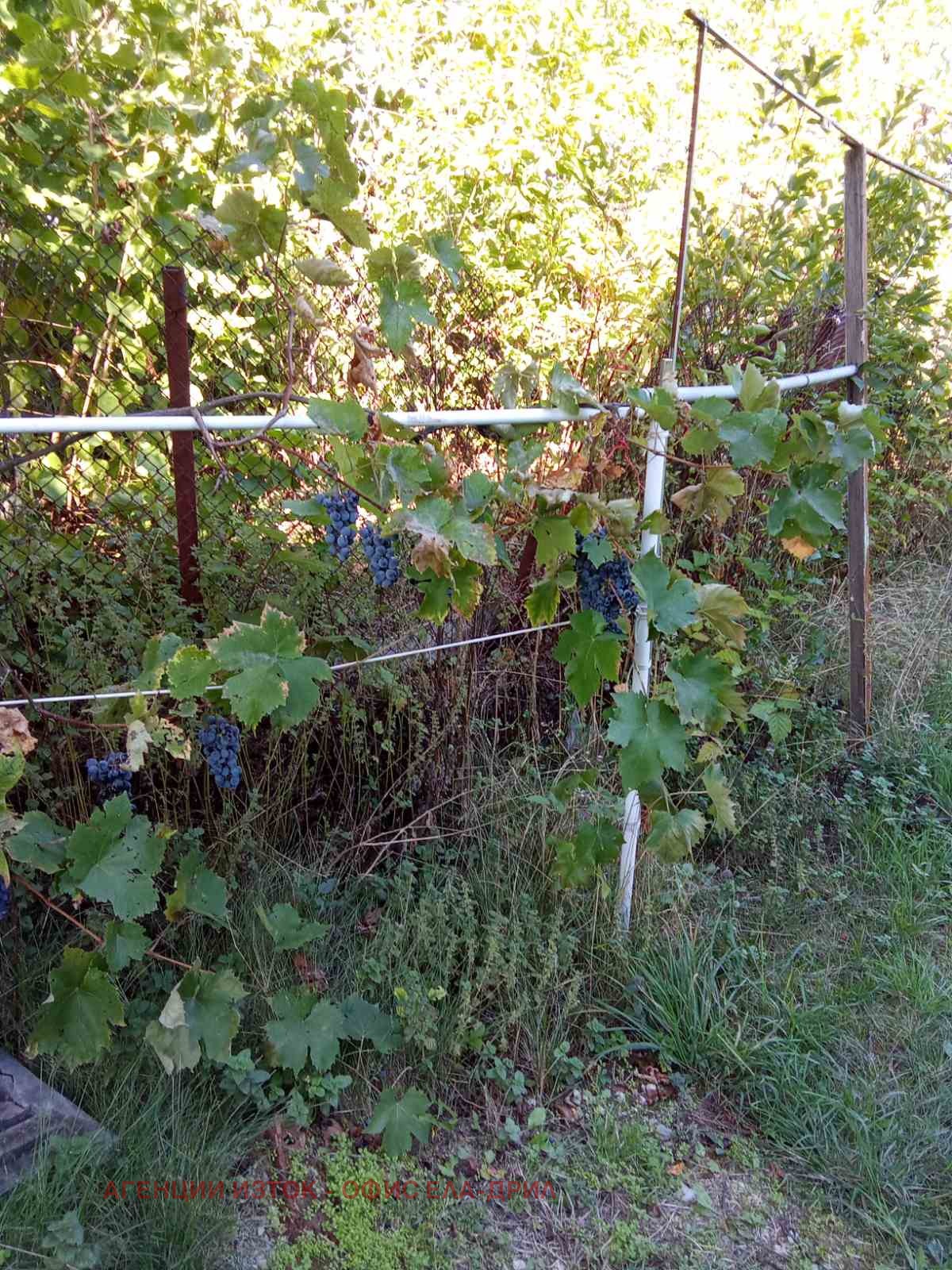 ������� ���� | Imot.bg � ����������� 5