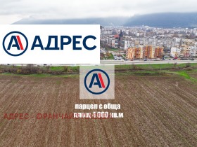 ����� ������� ������,���� �����, �������