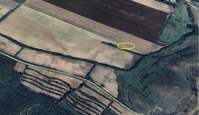 ����� ������� ���������� ����,�. ���������, ������ �������