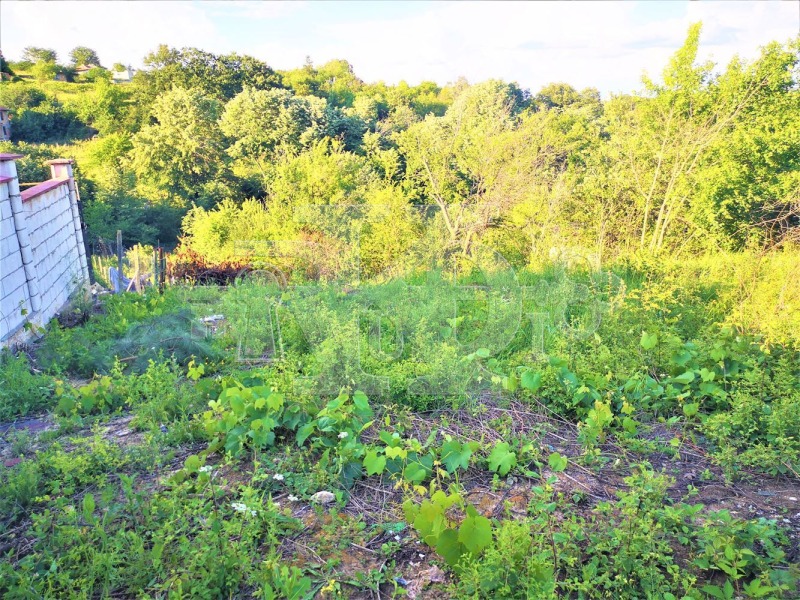 À venda  Trama Varna , Zvezdica , 10000 m² | 99126303 - imagem [3]