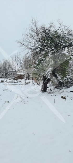 ������� ���� | Imot.bg � ����� ������ 8