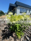 Продава КЪЩА, с. Скутаре, област Пловдив, снимка 4