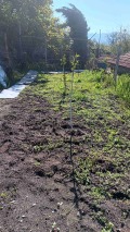 Продава ПАРЦЕЛ, гр. Пещера, област Пазарджик, снимка 8