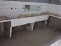 Продава ЗАВЕДЕНИЕ, област Разград, с. Осенец • 75000 € / 146687.25 лв. • 58852672 8