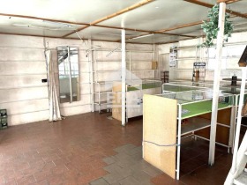 Üzlet Operata, Varna
