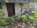 Продава КЪЩА, град София, с. Кокаляне • 230000 € • 36914061 — Holmes.bg
