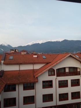 ����� ������� �������,��. ������, ������ �����������