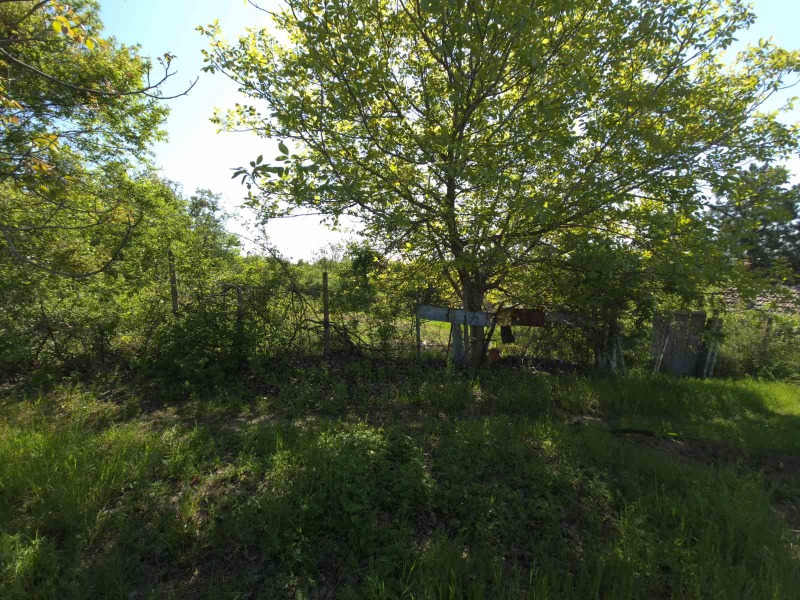 Till salu  Komplott Pleven , Kailaka , 480 kvm | 63684200 - bild [6]