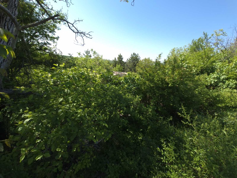 Till salu  Komplott Pleven , Kailaka , 480 kvm | 63684200 - bild [4]