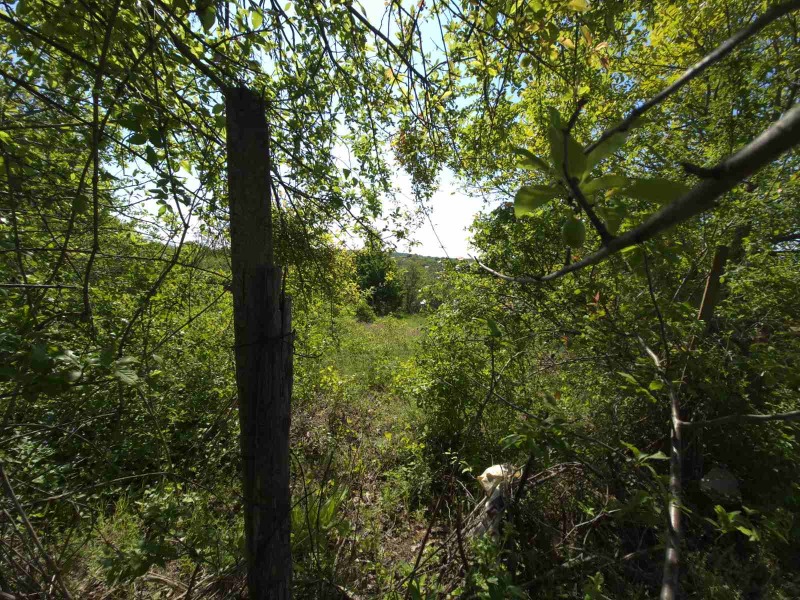 Till salu  Komplott Pleven , Kailaka , 480 kvm | 63684200 - bild [5]