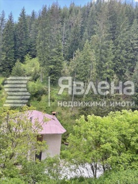 Hus Vievo, region Smolyan 1