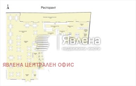 ����� ������� ���������,���� �����, �������