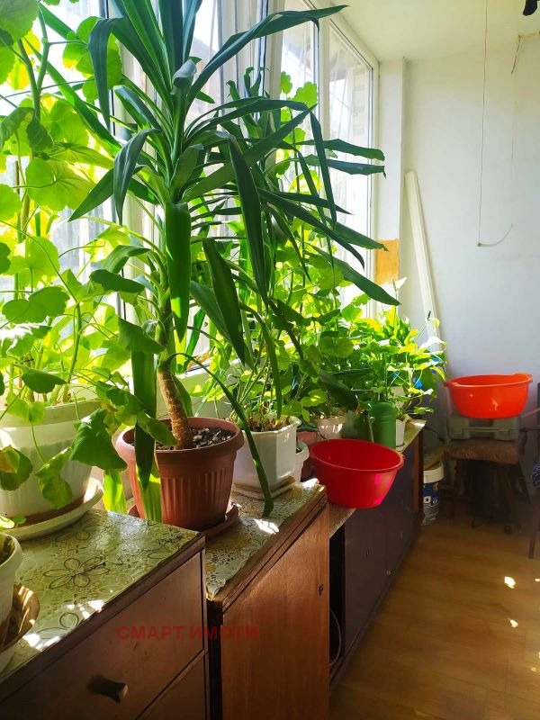 Продава  2-стаен град София , Бъкстон , 59 кв.м | 90290164 - изображение [2]