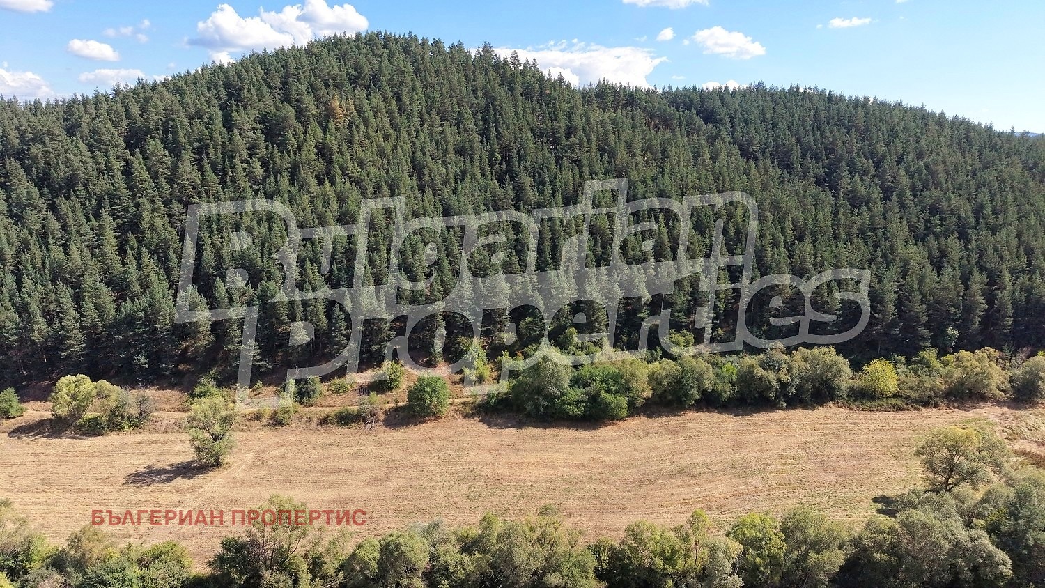 Продава ПАРЦЕЛ, с. Продановци, област София област, снимка 4 - Парцели - 56103144