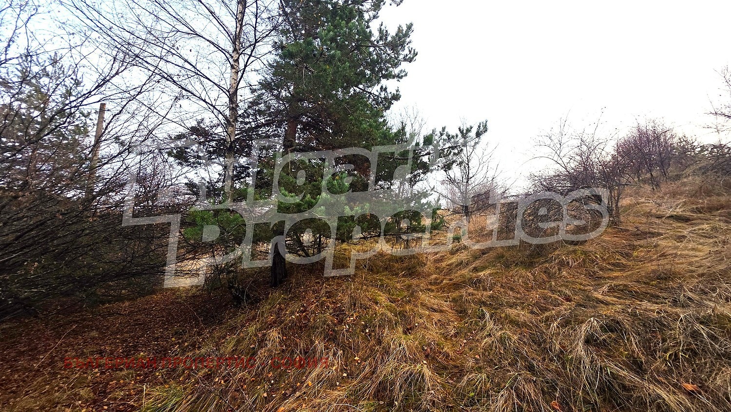 Продава ПАРЦЕЛ, гр. София, с. Железница, снимка 12 - Парцели - 56123208