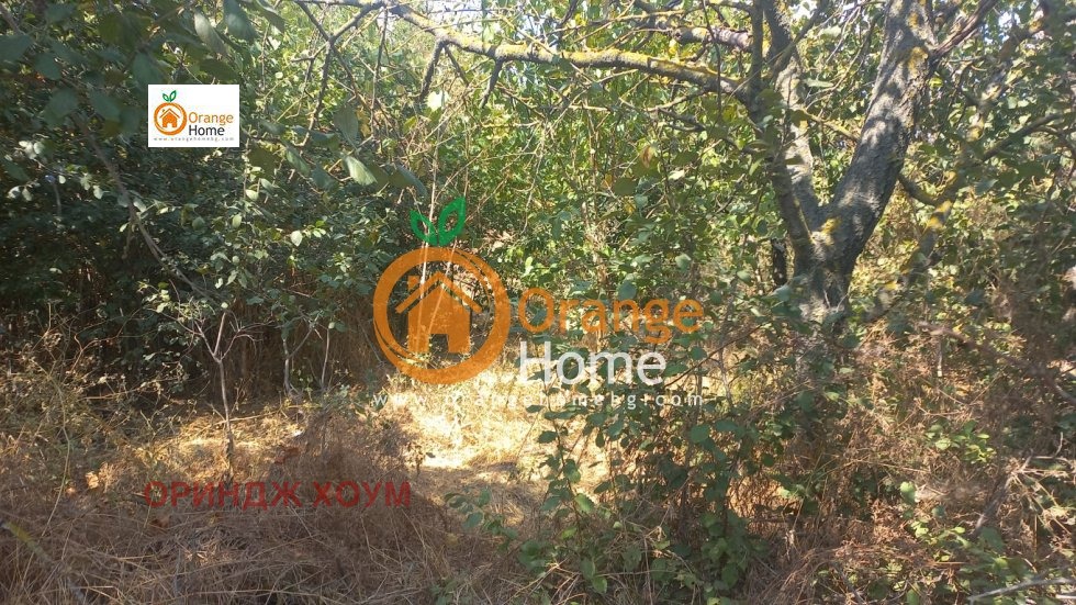 ������� ������ | Imot.bg � ����������� 4