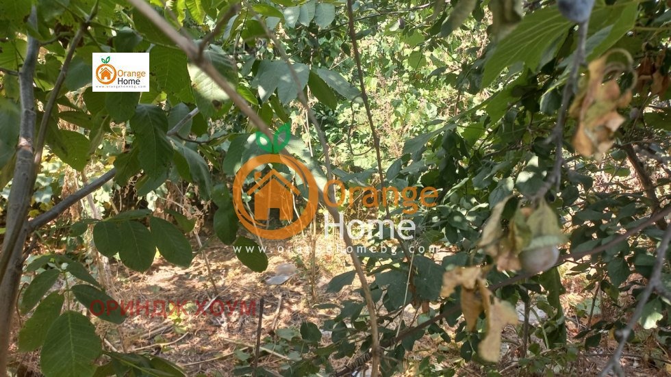 ������� ������ | Imot.bg � ����������� 3