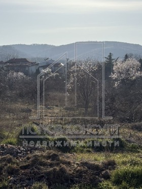 ������ ������� ������