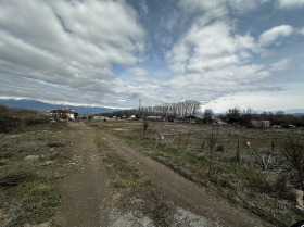 ����� ������� ������,��. ������, ������ �����������