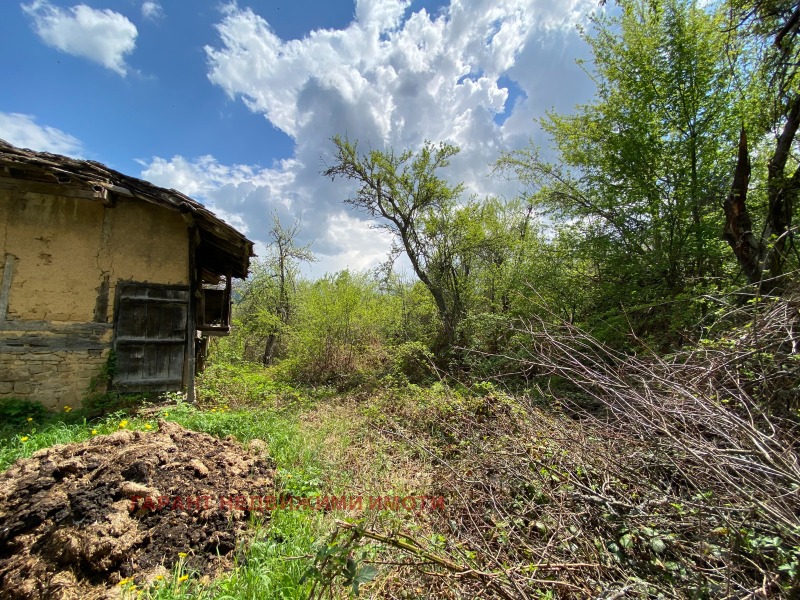 For Sale  Plot region Gabrovo , Kmetovtsi , 2297 sq.m | 28102322 - image [5]
