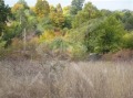Продава ПАРЦЕЛ, област Пловдив, с. Крумово • 25000 € • 35379494 — Holmes.bg