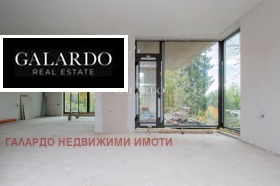 ����� ������� ����,���� �����, ����������