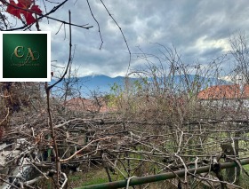 ������� ���� | Imot.bg � ����� ������ 7