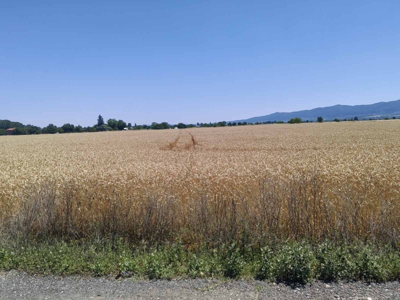 Продаја  Плот Софија , Бусманци , 1350 м2 | 35213458 - слика [2]