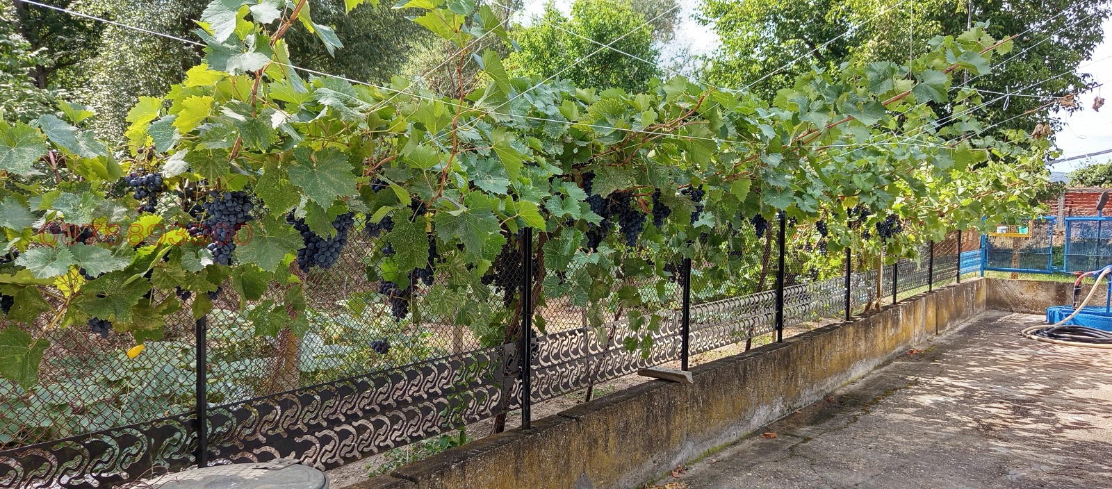 Продава КЪЩА, гр. Ловеч, Продимчец, снимка 14 - Къщи - 54199485