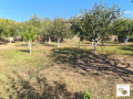 Продава  Къща област Велико Търново , с. Михалци , 140 кв.м | 85333222 - изображение [12]