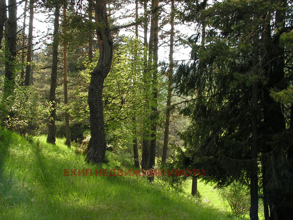 ������� ���� | Imot.bg � ����������� 14