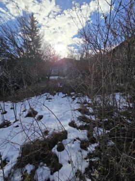 House Izvor, region Pernik 14