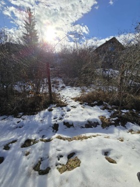 Hus Izvor, region Pernik 11