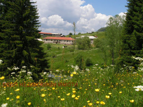 ������� ���� | Imot.bg � ����� ������ 17