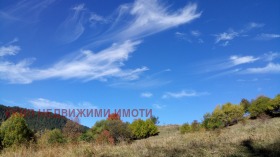 ������� ���� | Imot.bg � ����� ������ 12