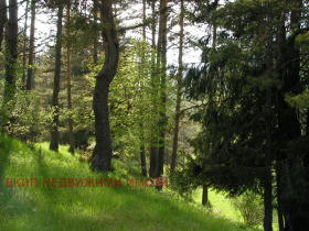 ������� ���� | Imot.bg � ����� ������ 14