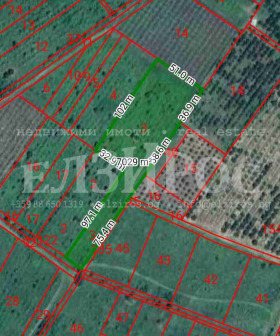 ������ ������� ���������� ����