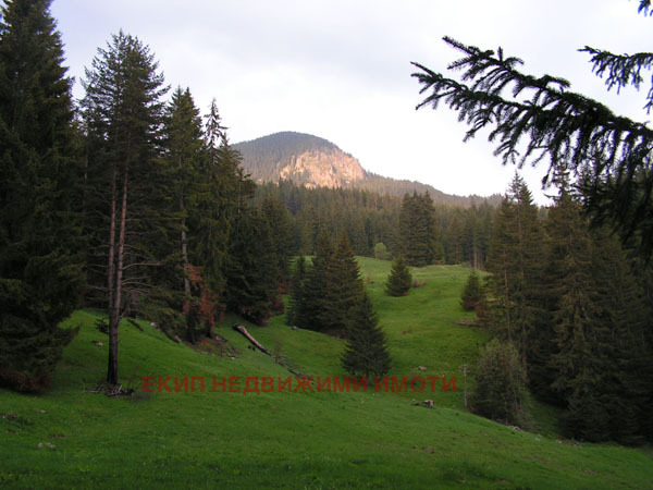 Продава КЪЩА, с. Мугла, област Смолян, снимка 15 - Къщи - 54339116