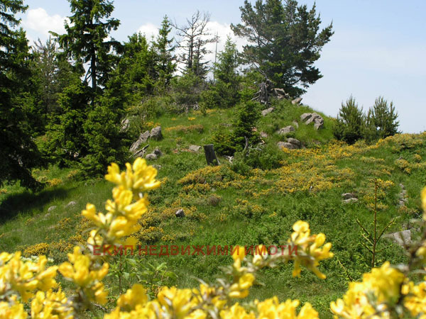 Продава КЪЩА, с. Мугла, област Смолян, снимка 13 - Къщи - 54339116