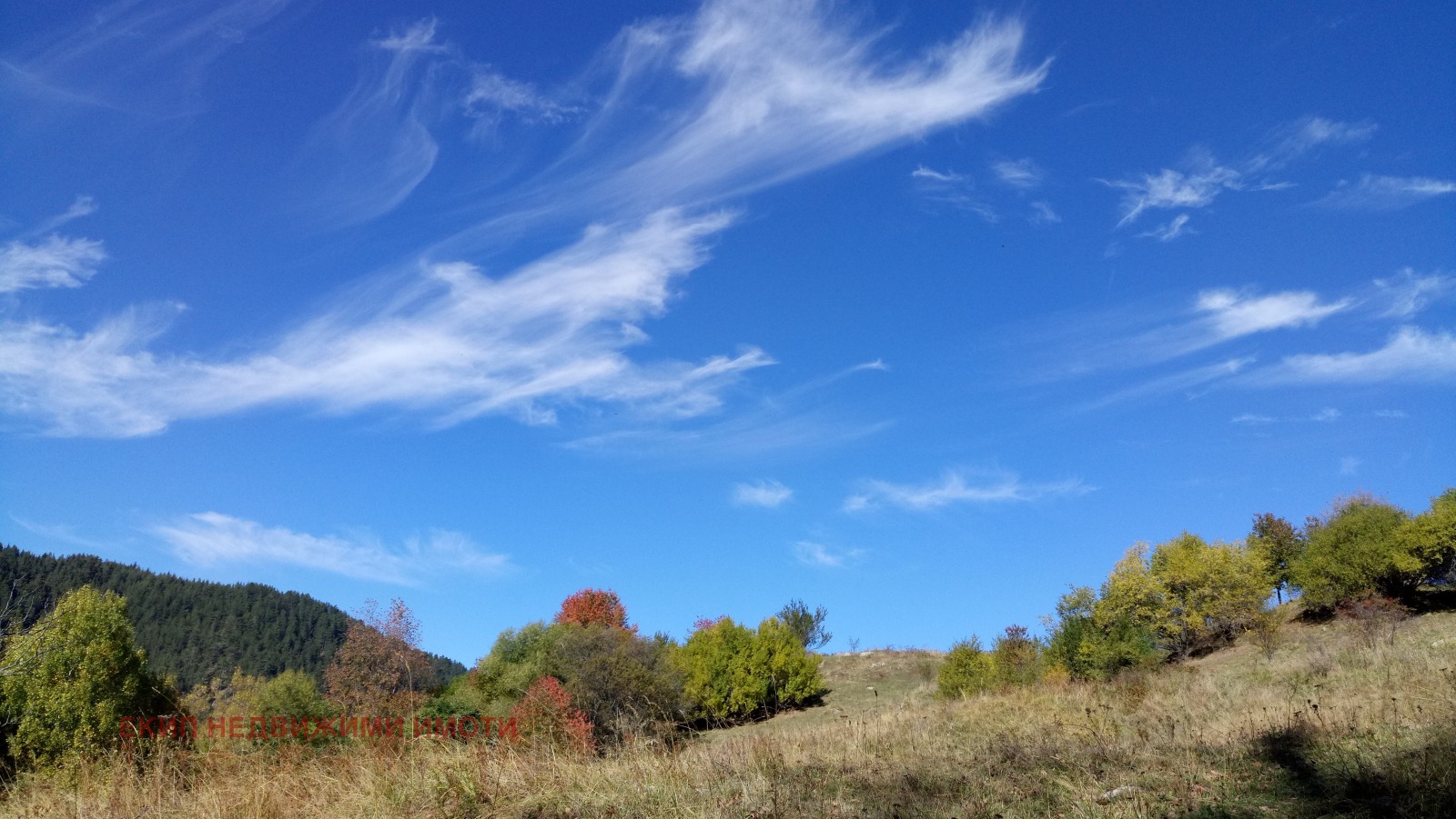 Продава КЪЩА, с. Мугла, област Смолян, снимка 12 - Къщи - 54339116