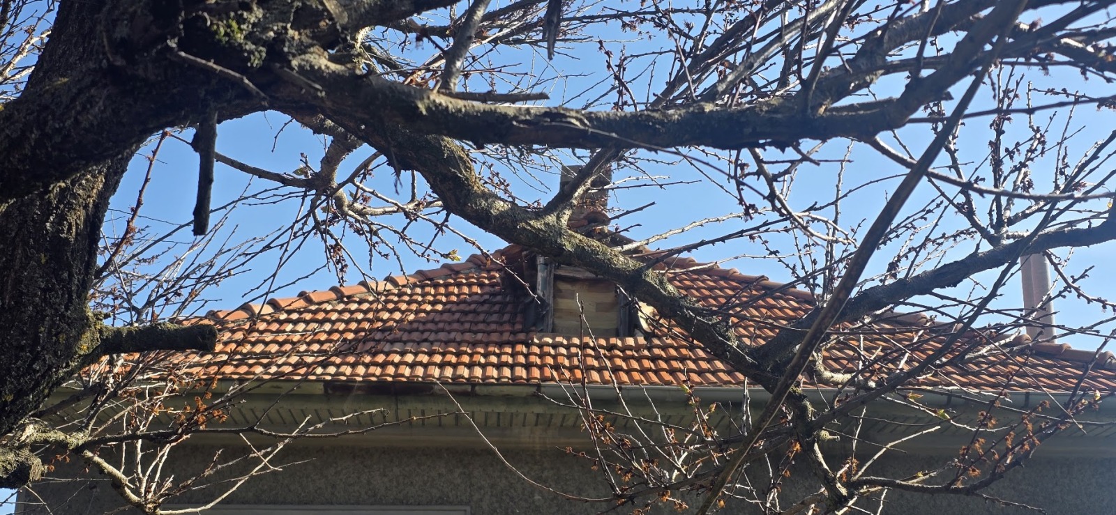 ������� ���� �� ���� | Imot.bg � ����������� 11