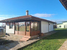 ����� ������� ����,���� ������, ������