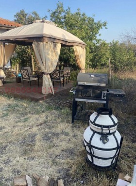 ����� ������� ����,���� ������, ������